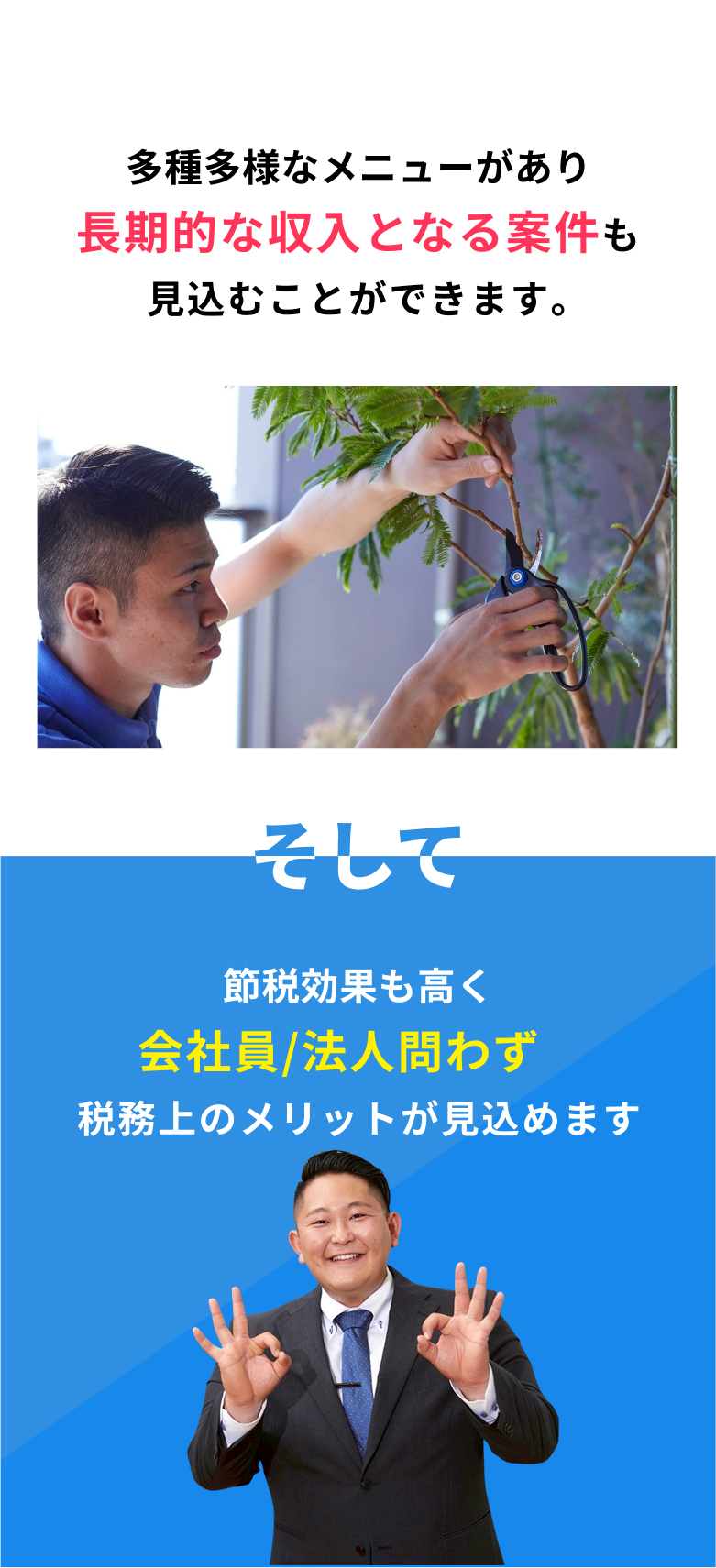 キャンペーン